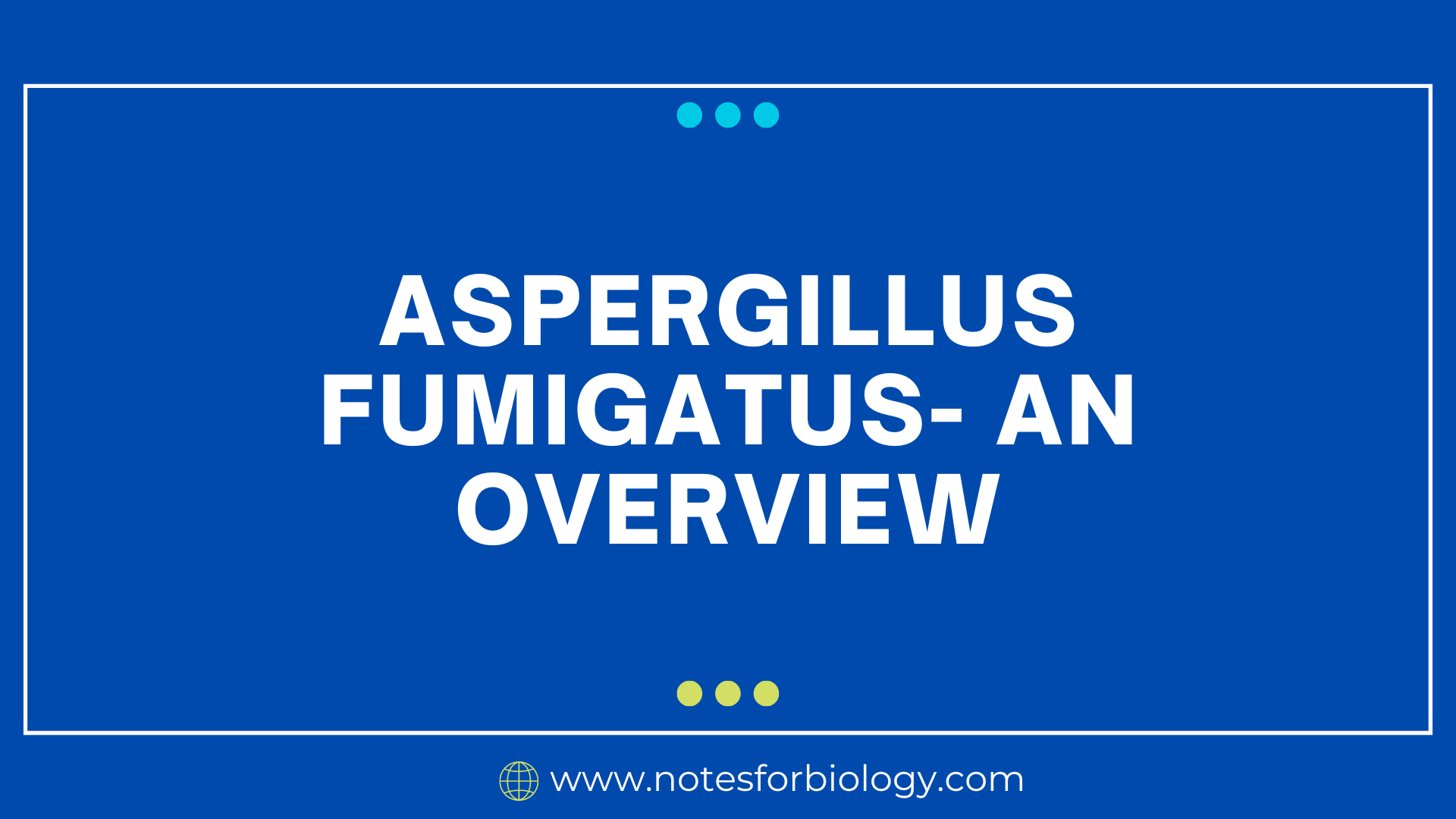 Aspergillus Fumigatus An Overview