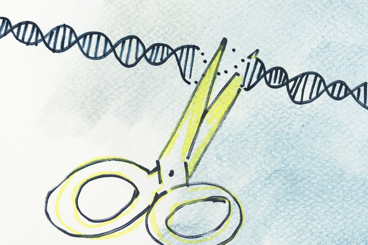 Plasmid Replication Mechanisms Theta And Rolling Cycle