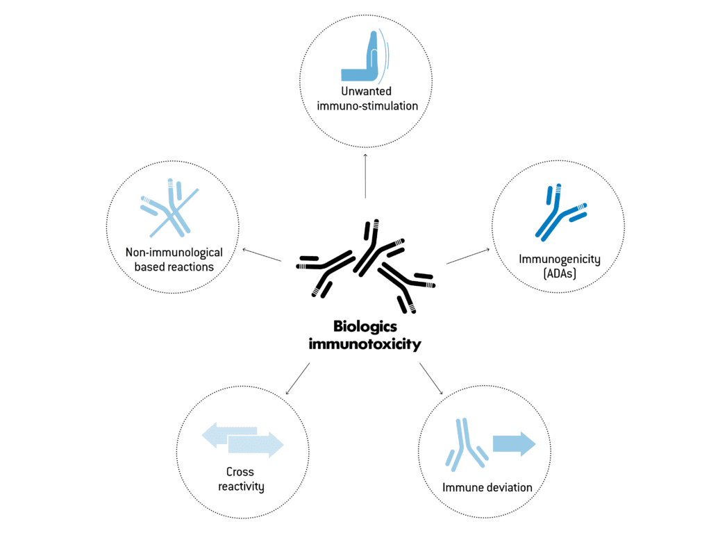 Antigens Characteristics And Types Antigenicity And