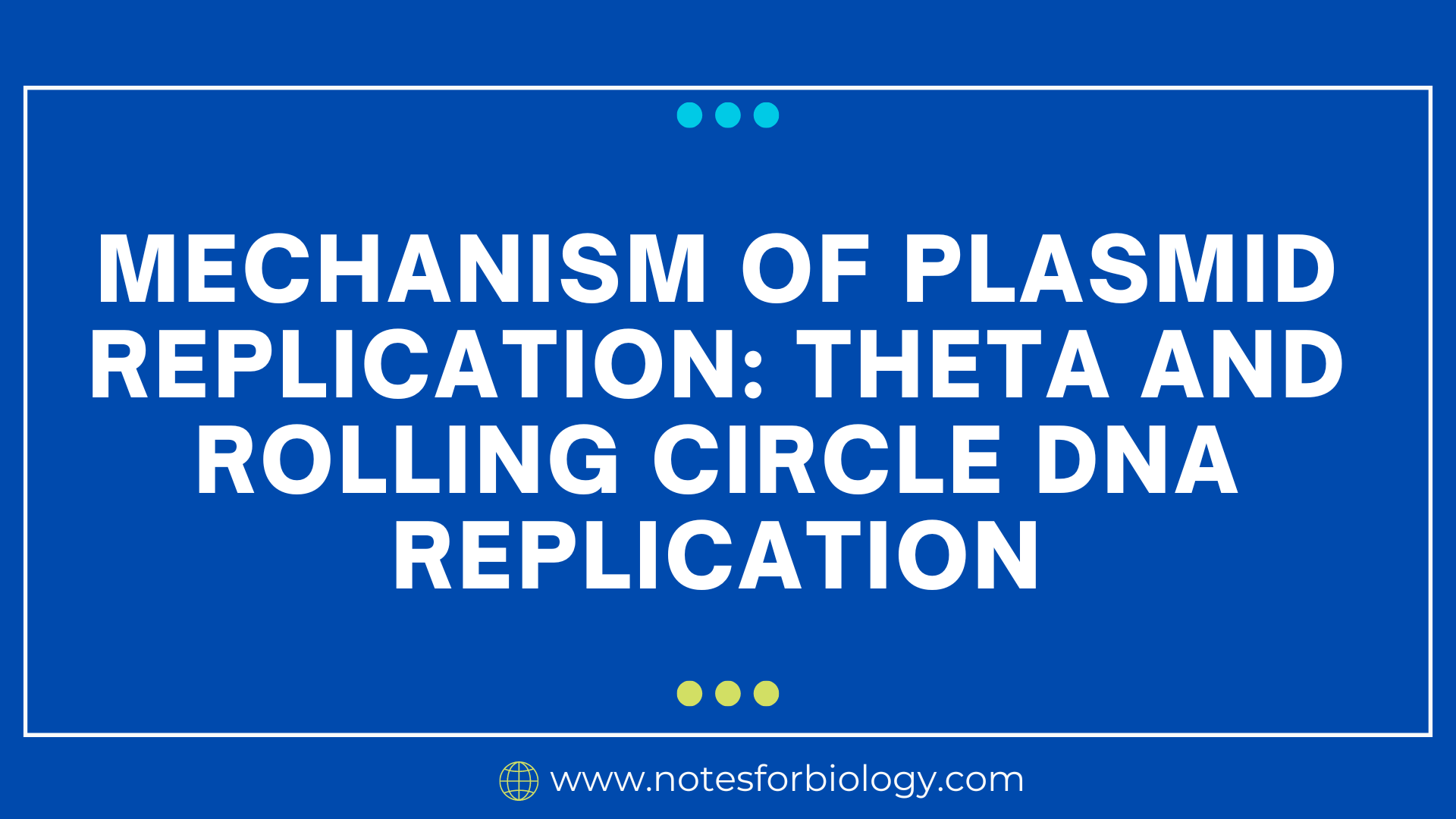 Plasmid Replication Mechanisms Theta And Rolling Cycle