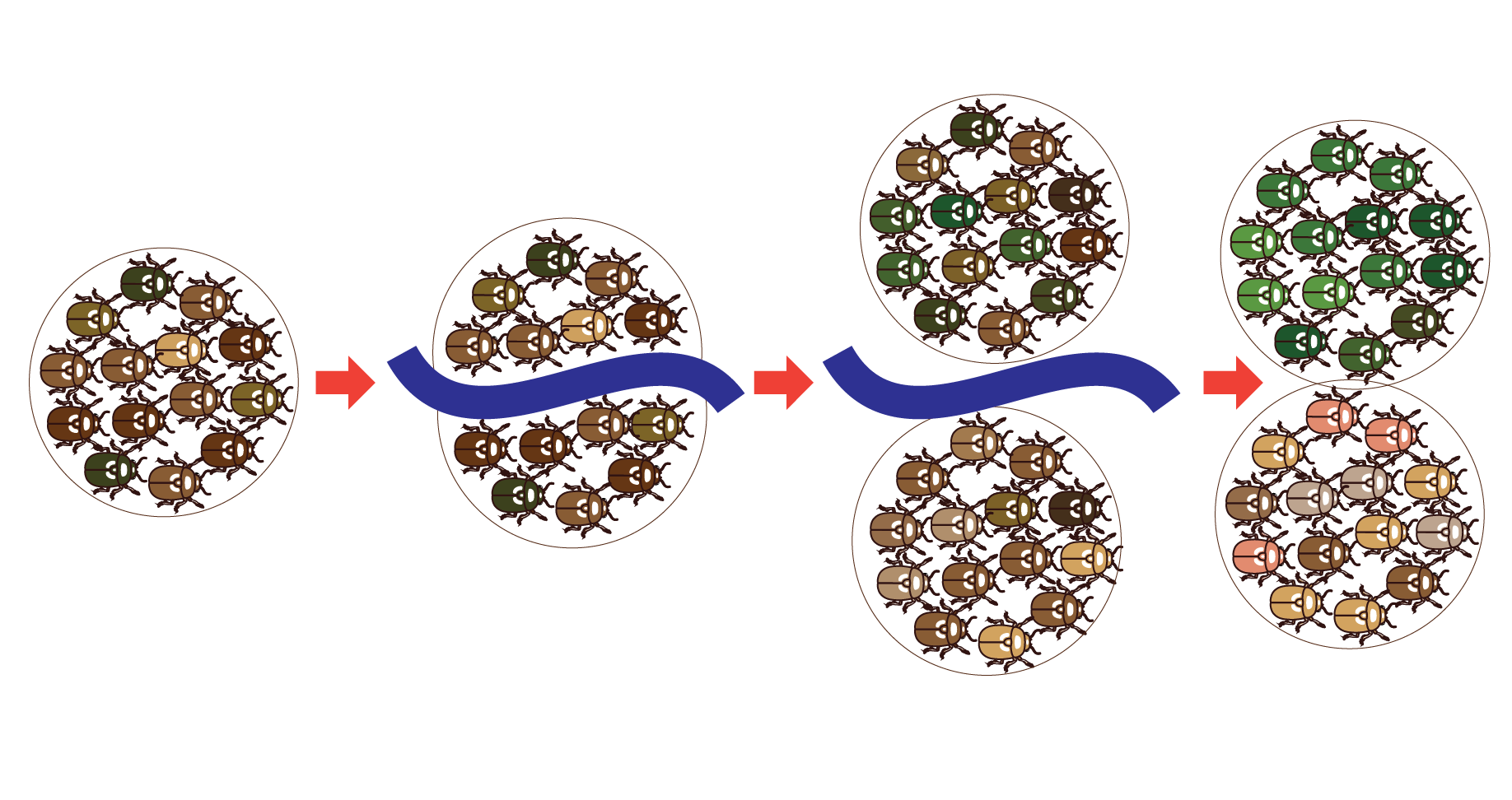 Speciation Causes Process Types And Examples