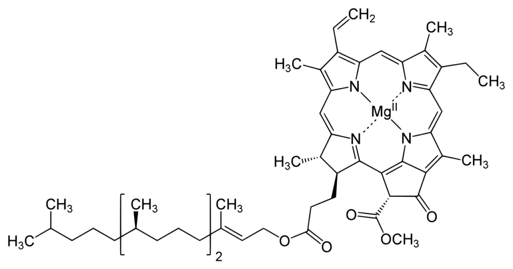 Structure Of Chlorophyll