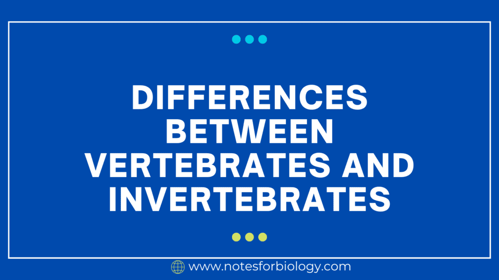 16 Differences between vertebrates and invertebrates