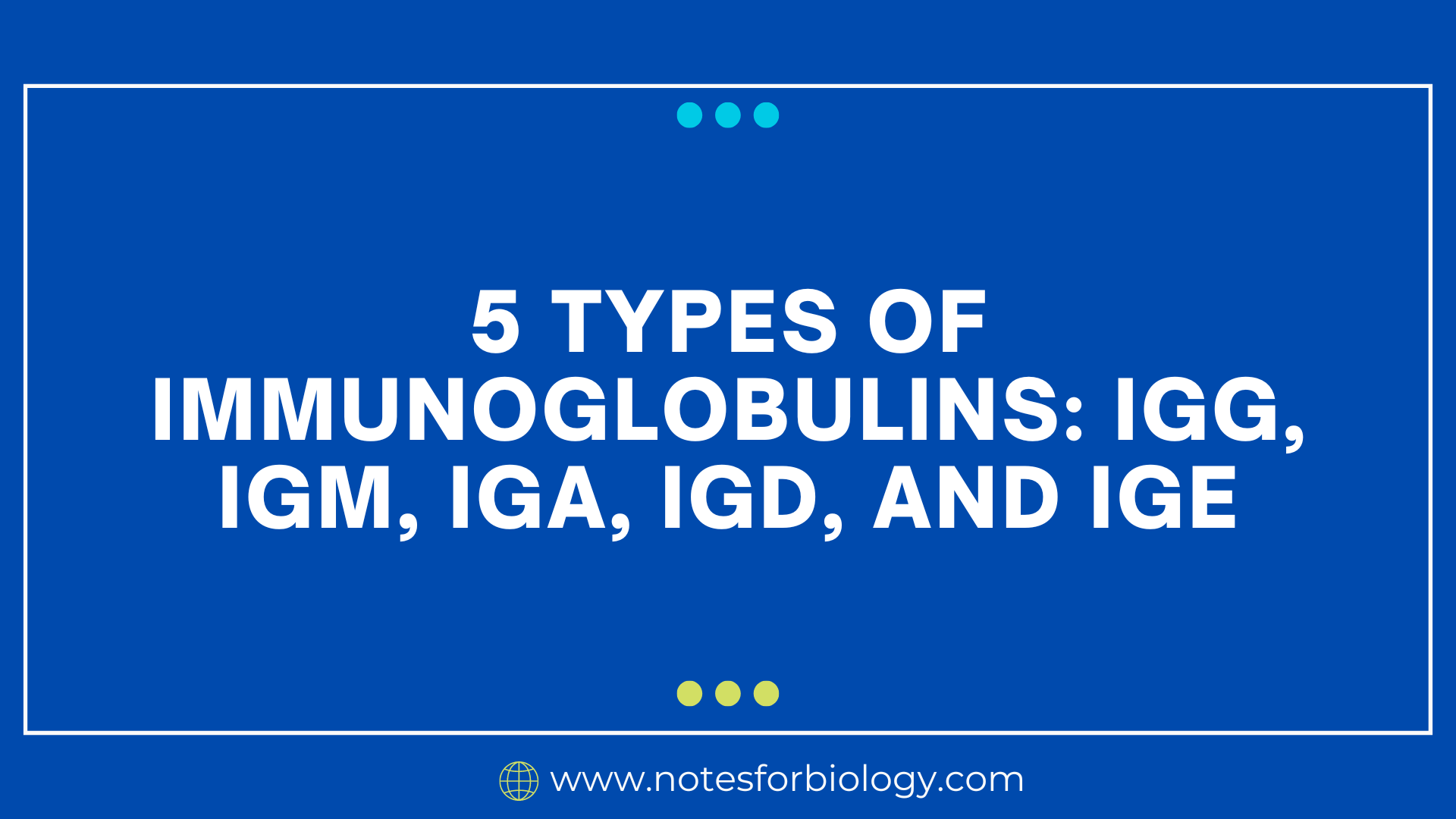 5 Types of Immunoglobulins: IgG, IgM, IgA, IgD, and IgE