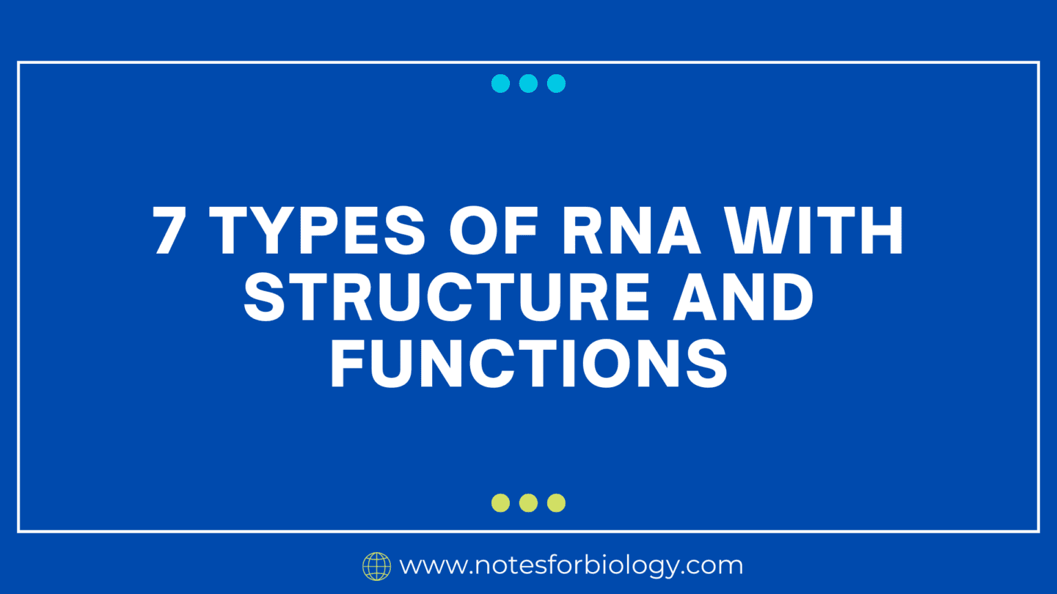 7 Types of RNA with Structure and Functions