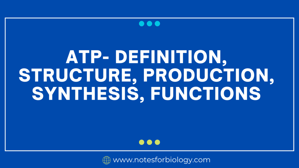 ATP- Definition, Structure, Production, Synthesis, Functions