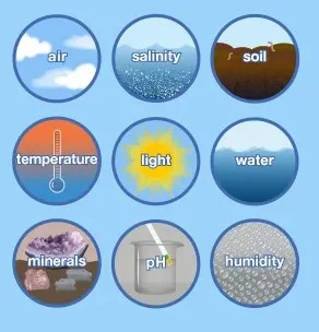 Abiotic Factors - Biotic vs Abiotic Factors