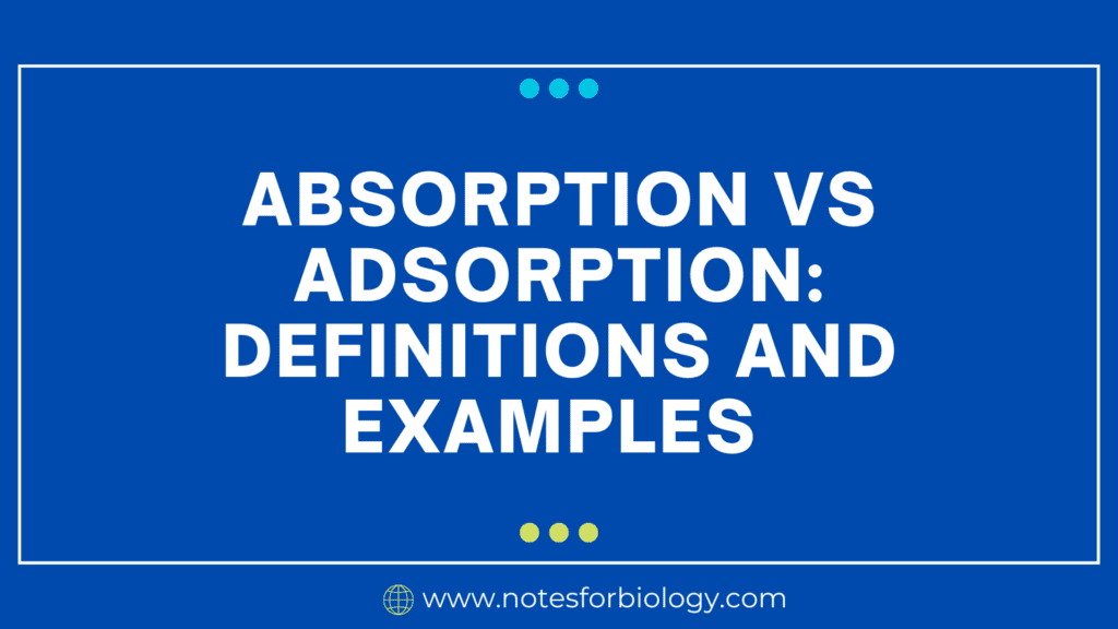 Absorption vs Adsorption