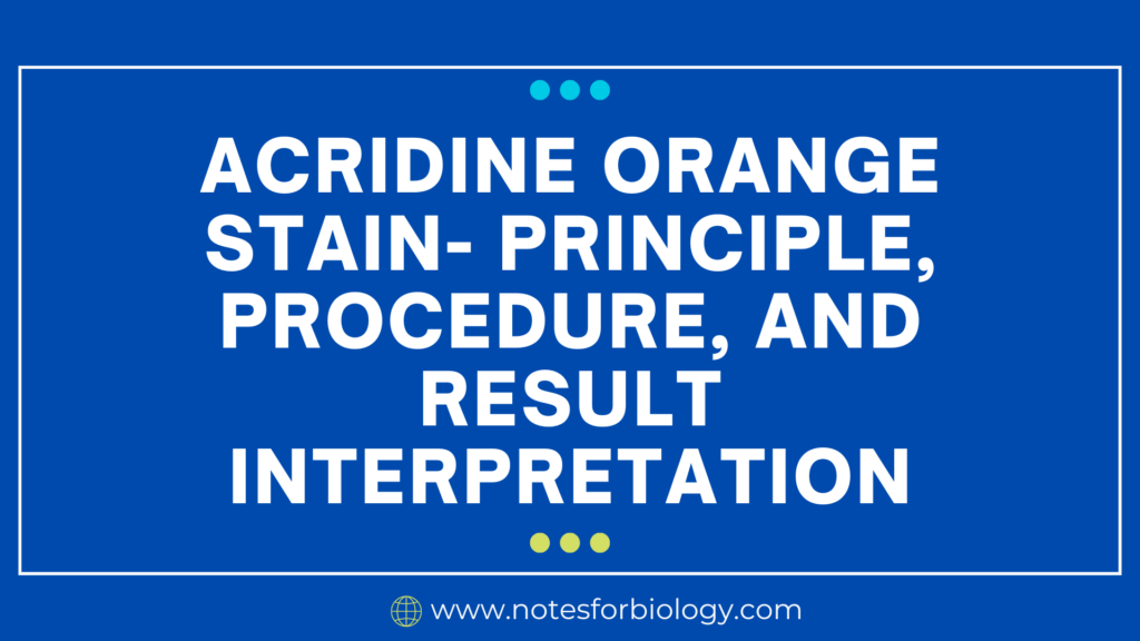 Acridine Orange Stain- Principle, Procedure, and Result Interpretation