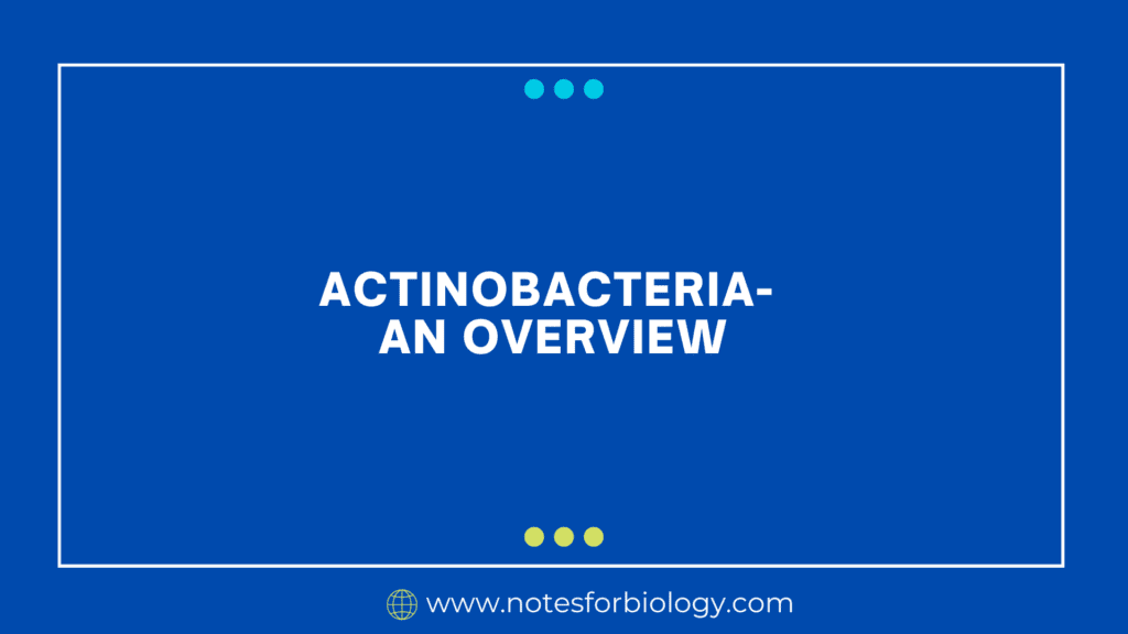 Actinobacteria- An Overview