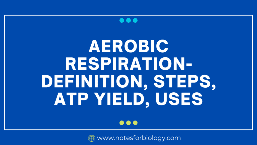 Aerobic Respiration- Definition, Steps, ATP Yield, Uses