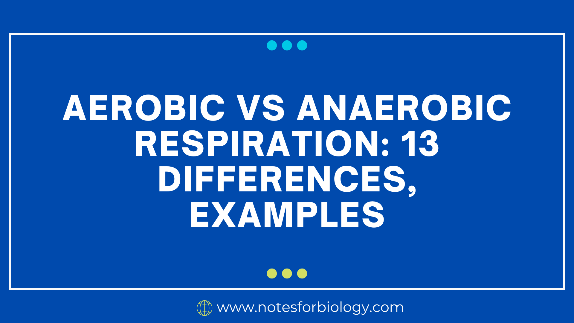 Aerobic Vs Anaerobic Respiration: 13 Differences, Examples