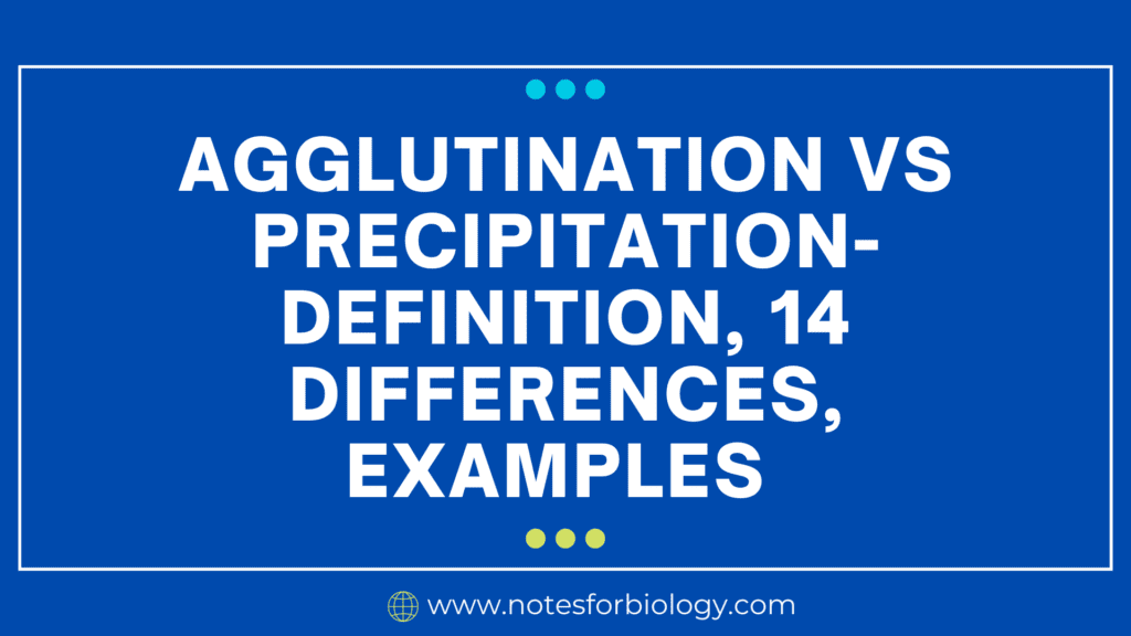 Agglutination vs Precipitation