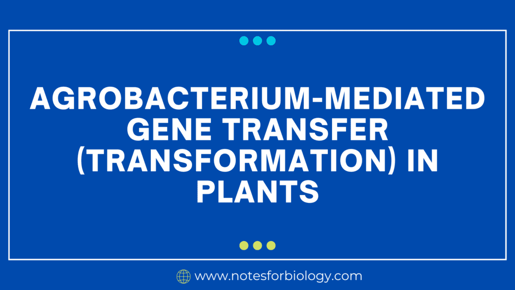 Agrobacterium-Mediated-Gene-Transfer-Transformation-in-Plants