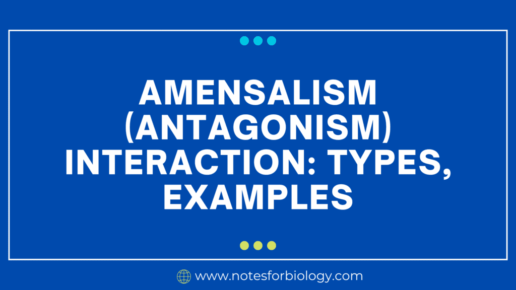 Amensalism (Antagonism) Interaction Types, Examples