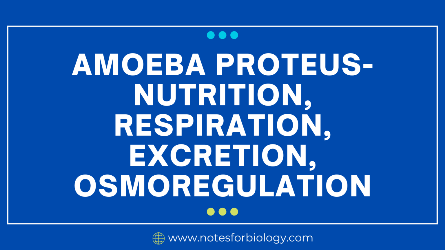 amoeba-proteus-nutrition-respiration-excretion-osmoregulation