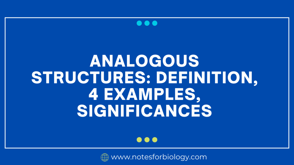 Analogous Structures Definition, 4 Examples, Significances