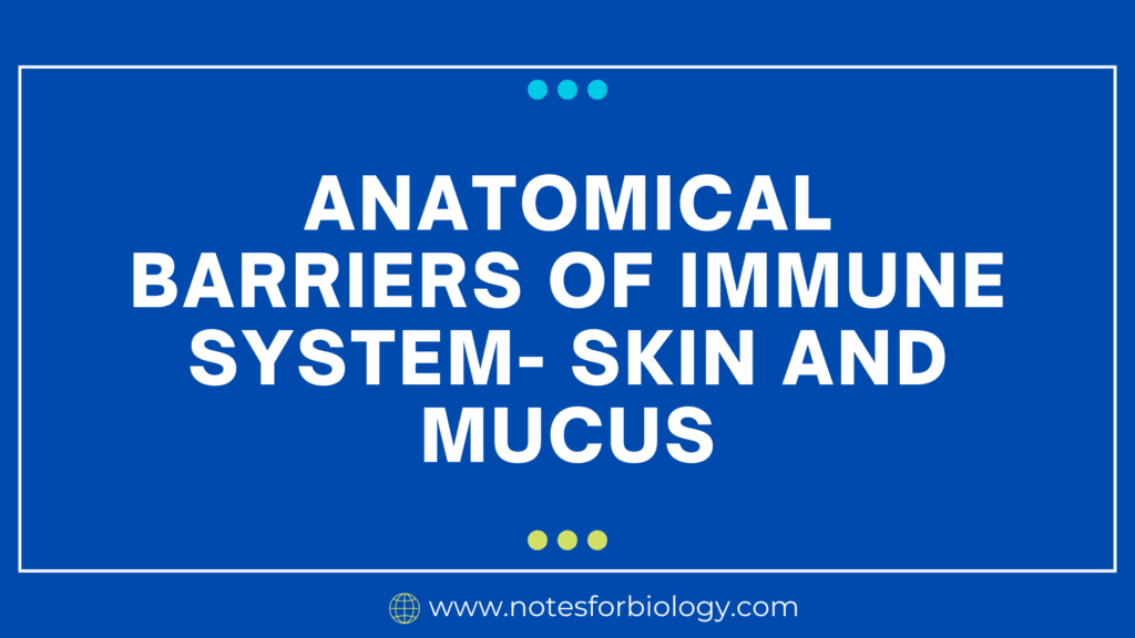 Anatomical Barriers of Immune System- Skin and Mucus