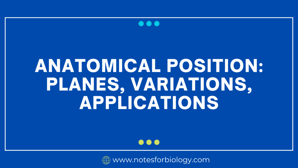 Anatomical Position: Planes, Variations, Applications