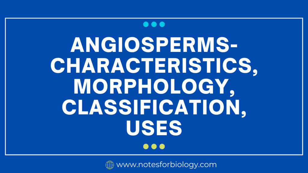 Angiosperms- Characteristics, Morphology, Classification, Uses