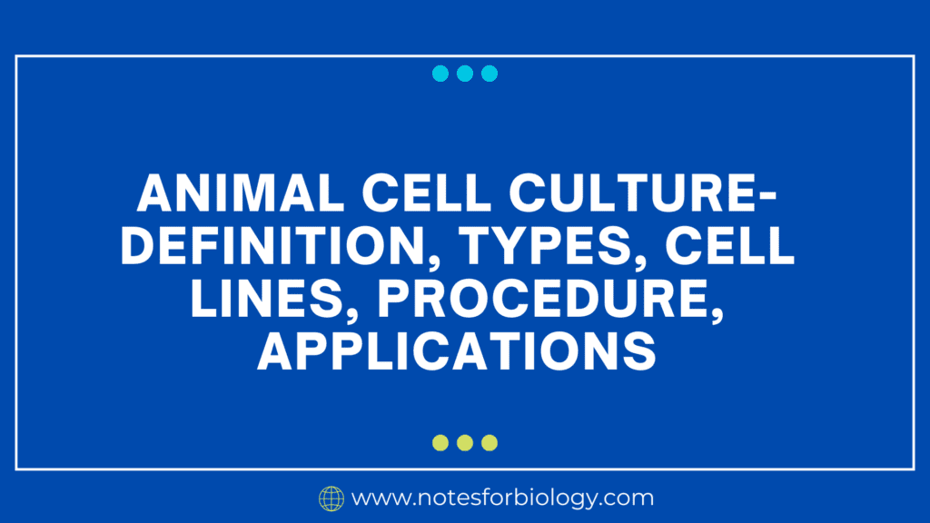 Animal Cell Culture- Definition, Types, Cell Lines, Procedure, Applications