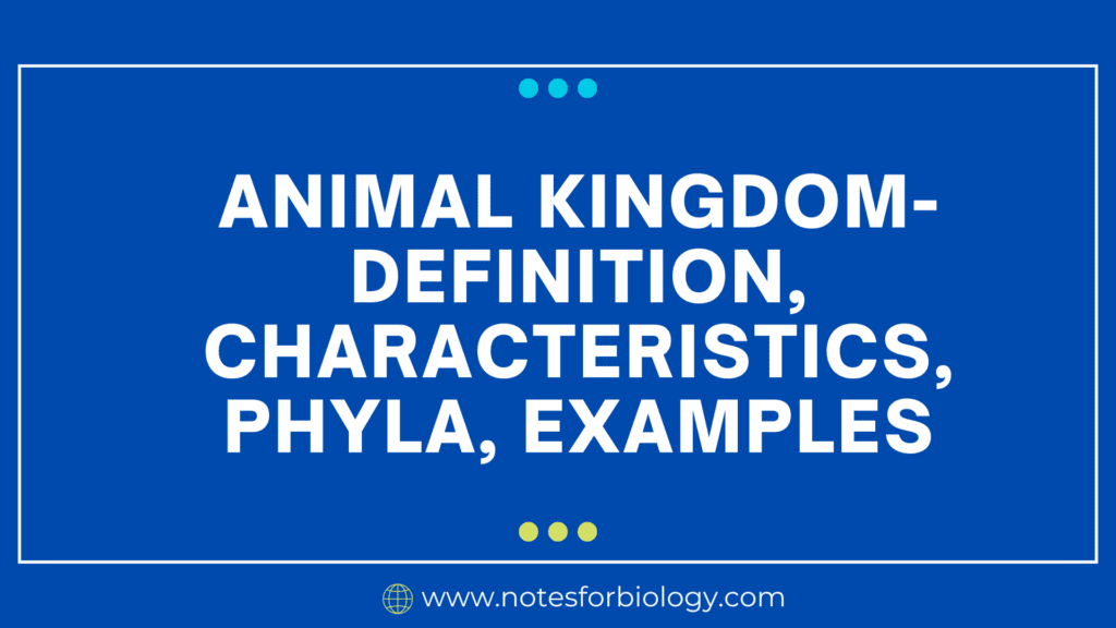 Animal Kingdom- Definition, Characteristics, Phyla, Examples