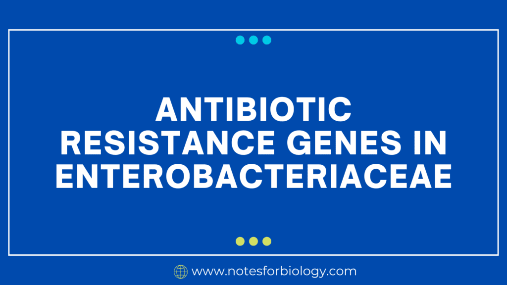 Antibiotic Resistance Genes in Enterobacteriaceae