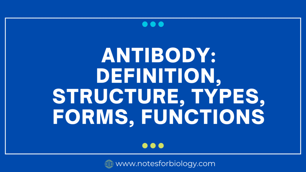 Antibody Definition, Structure, Types, Forms, Functions