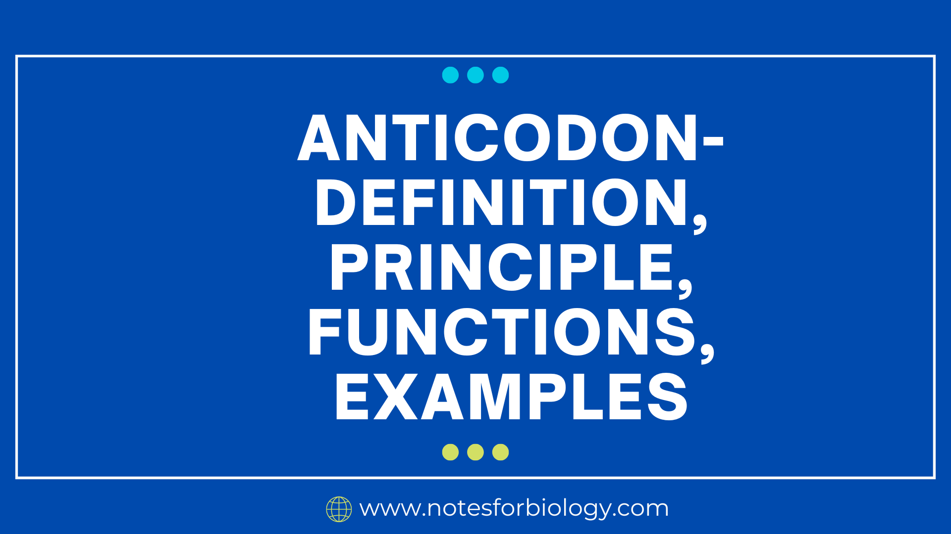 Anticodon- Definition, Principle, Functions, Examples