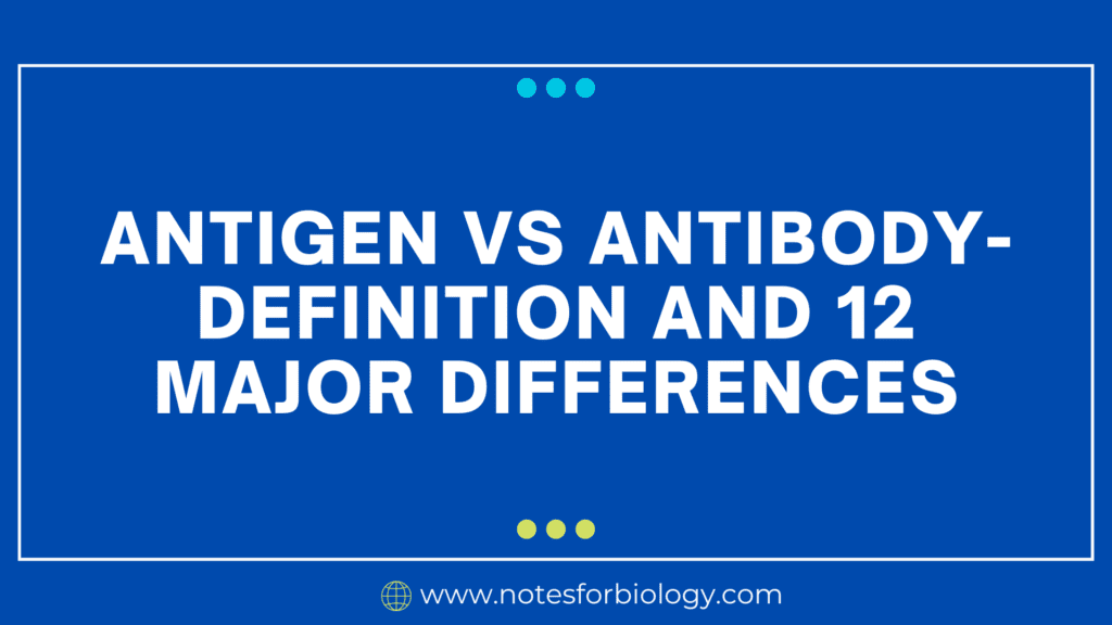 Antigen vs Antibody- Definition and 12 Major Differences