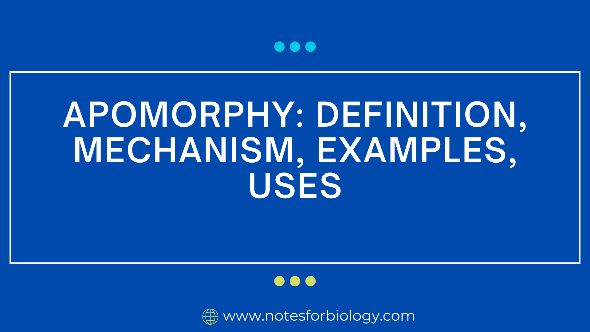 Apomorphy: Definition, Mechanism, Examples, Uses