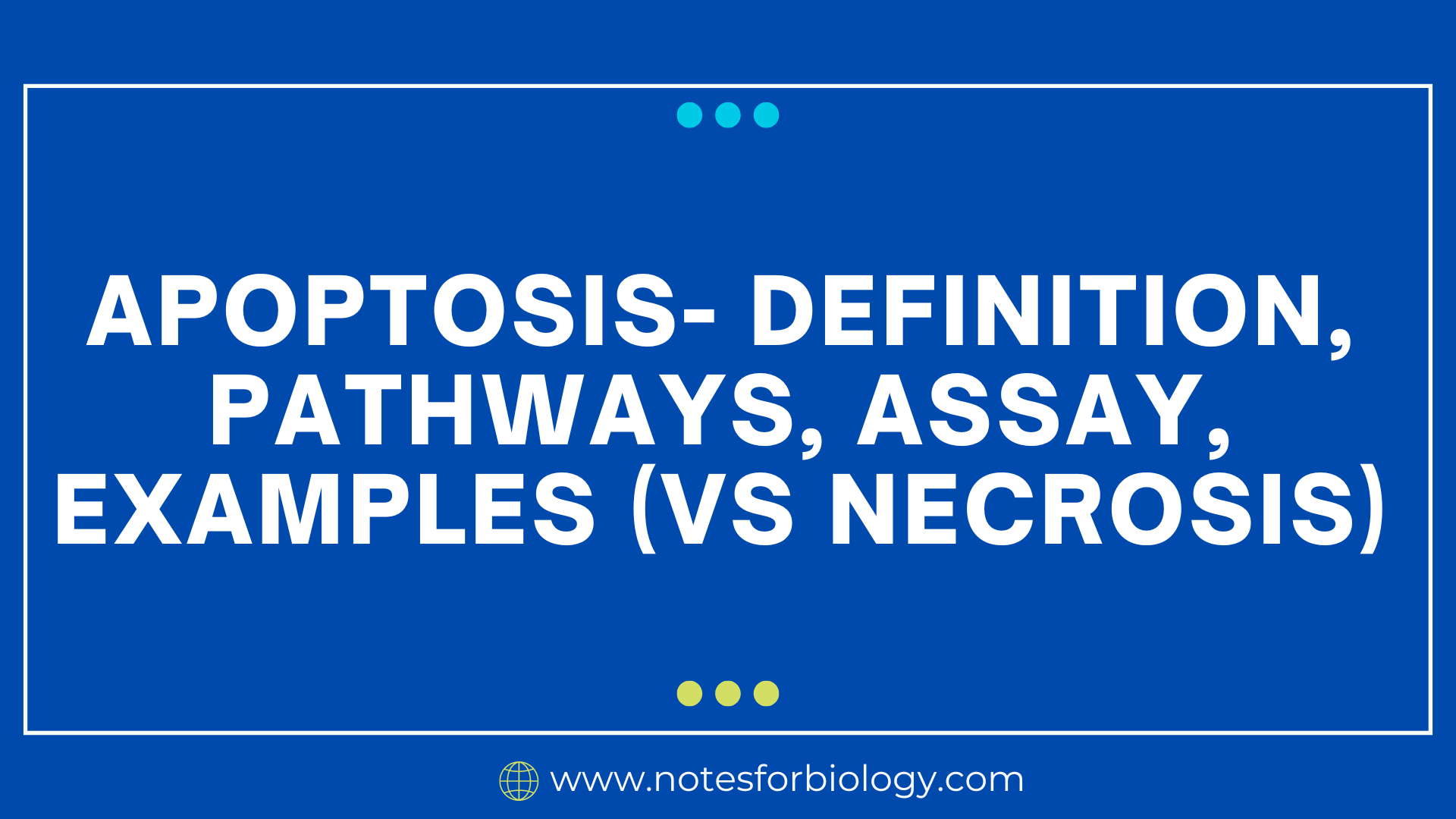 Apoptosis