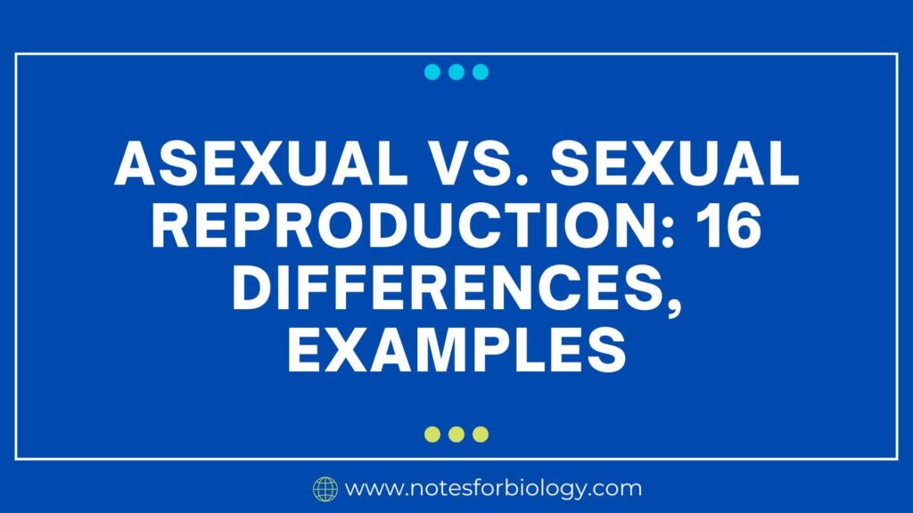 Asexual vs. Sexual Reproduction 16 Differences, Examples