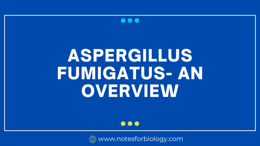 Aspergillus fumigatus- An Overview