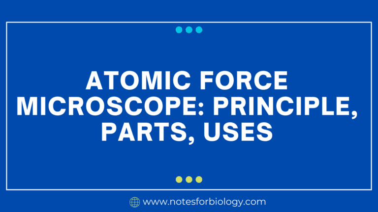 Atomic Force Microscope