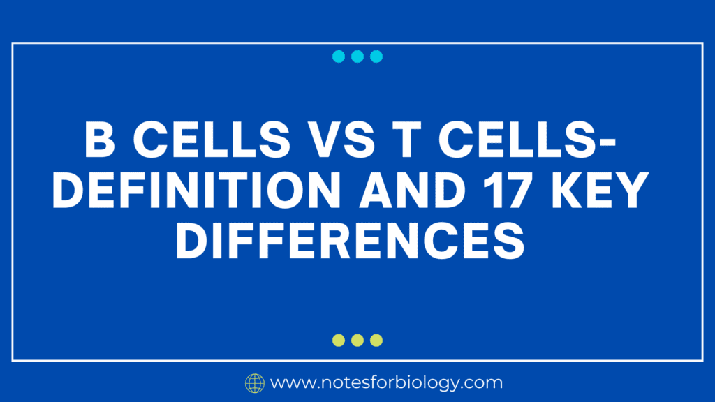 B Cells vs T Cells- Definition and 17 Key Differences