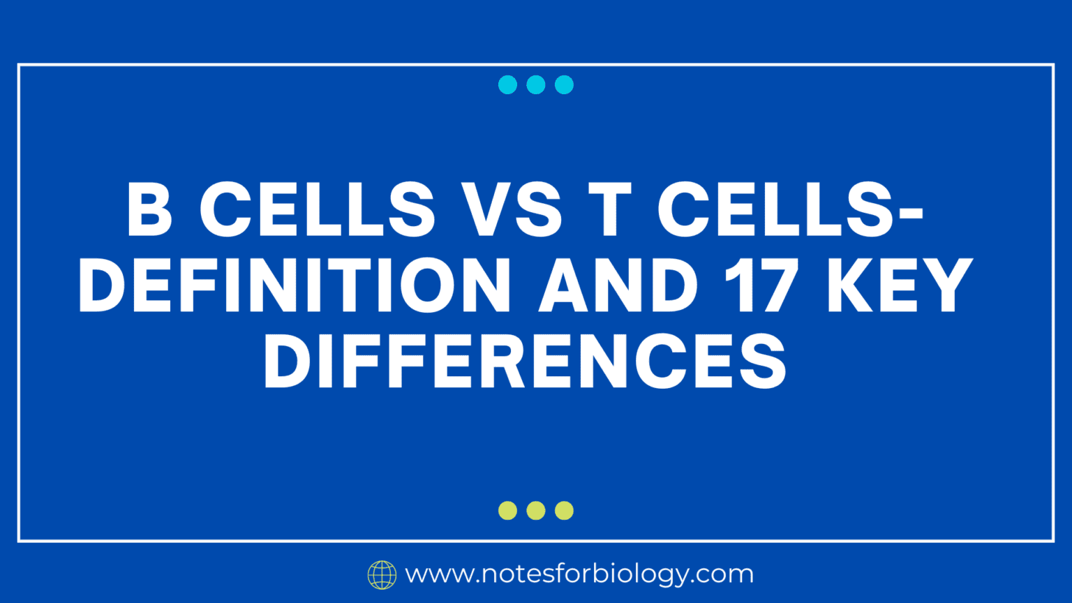 B Cells Vs T Cells- Definition And 17 Key Differences