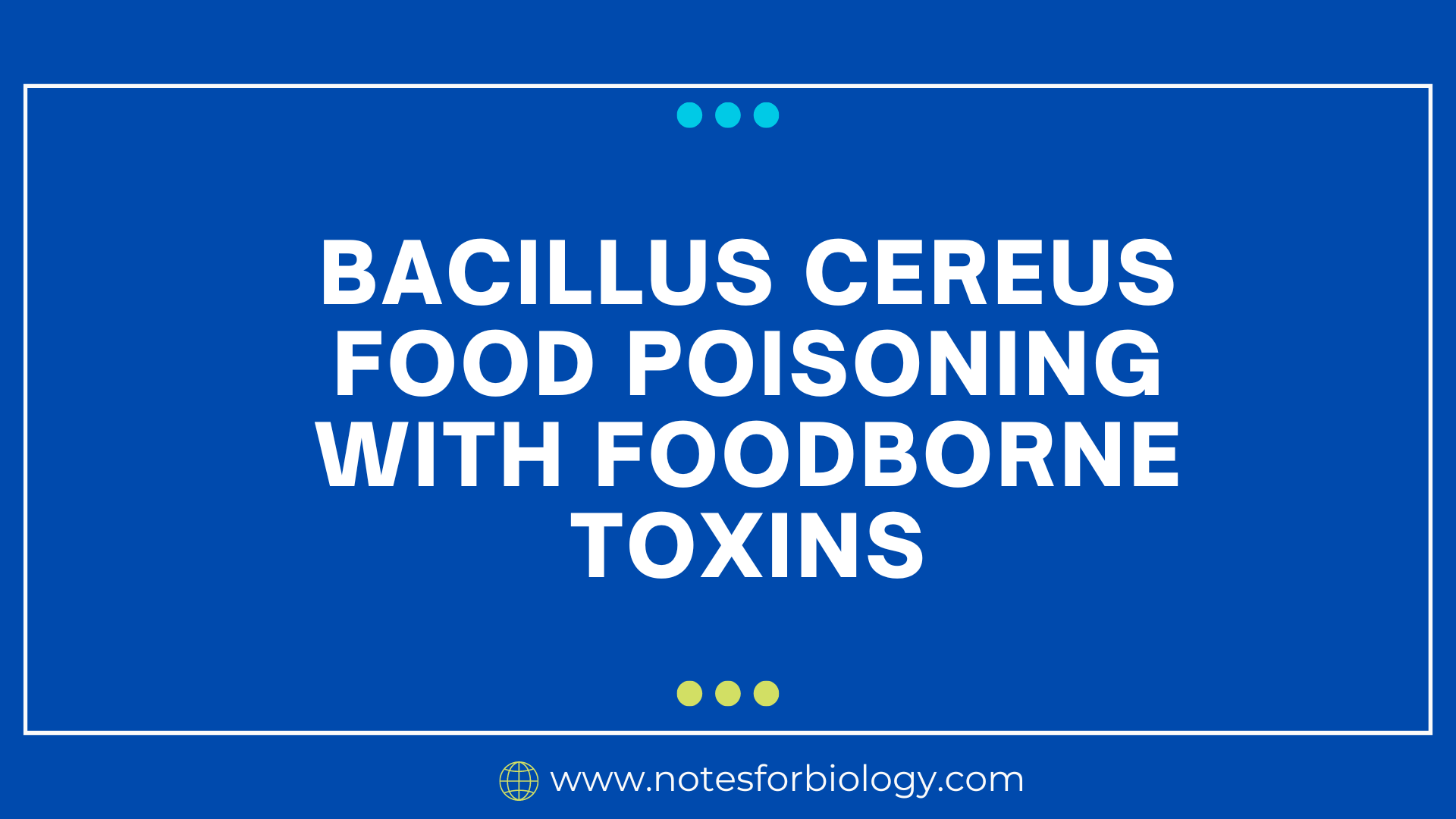 Bacillus Cereus Food Poisoning With Foodborne Toxins - Best Biology ...