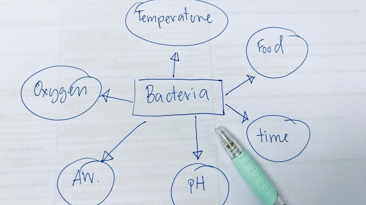 Bacterial Growth and Factors Affecting Growth of Bacteria - Best ...