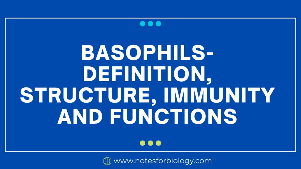Basophils- Definition, Structure, Immunity and Functions