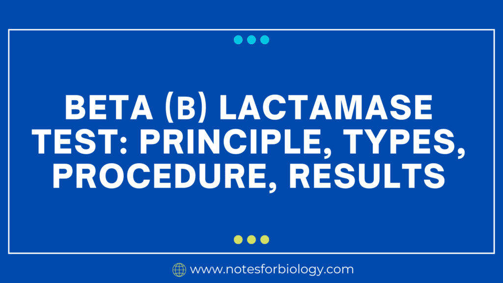 Beta Lactamase Test: Principle, Types, Procedure, Results