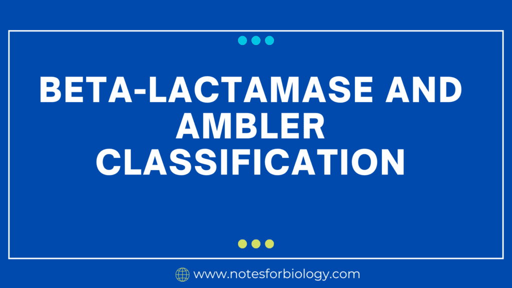 Beta-Lactamase and Ambler classification