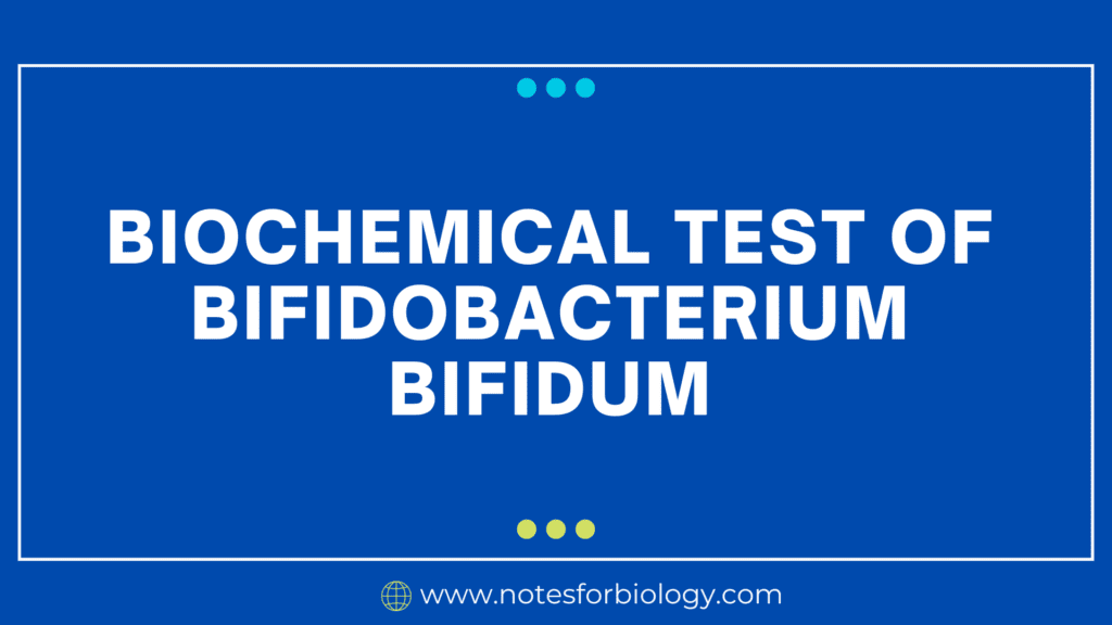 Biochemical Test of Bifidobacterium bifidum
