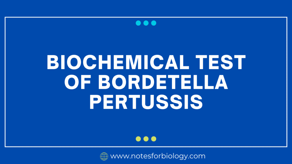 Biochemical-Test-of-Bordetella-pertussis