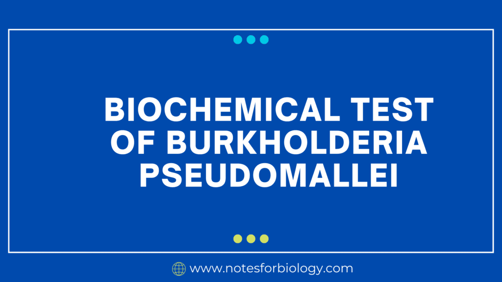 Biochemical Test of Burkholderia pseudomallei