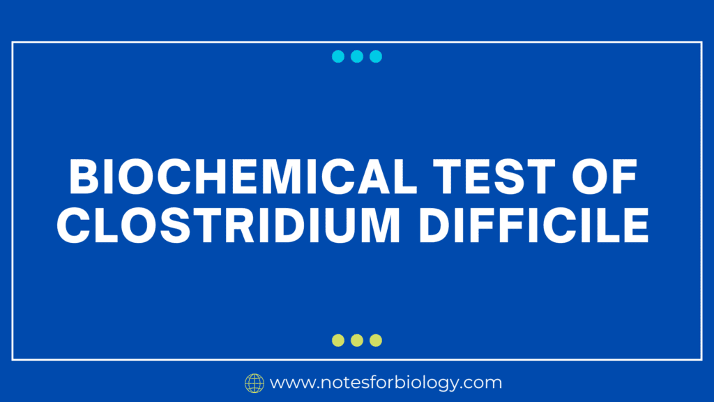 Biochemical Test of Clostridium difficile