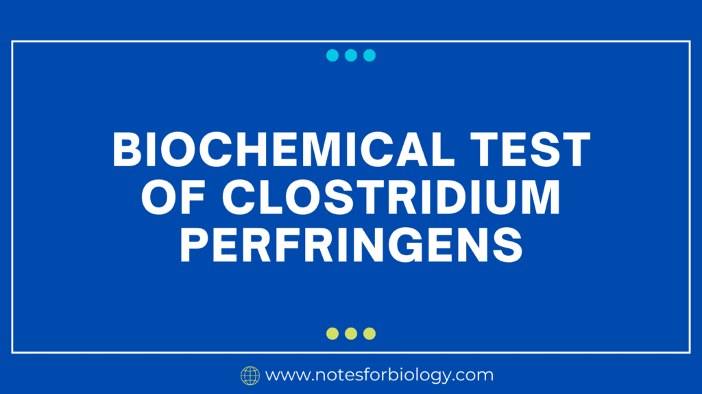 Biochemical Test of Clostridium perfringens
