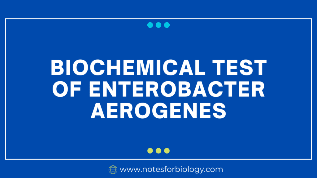 Biochemical Test of Enterobacter aerogenes