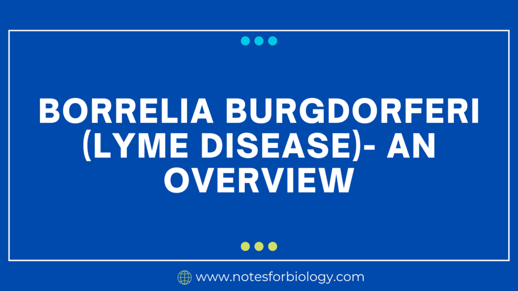 Borrelia burgdorferi (Lyme Disease)- An Overview