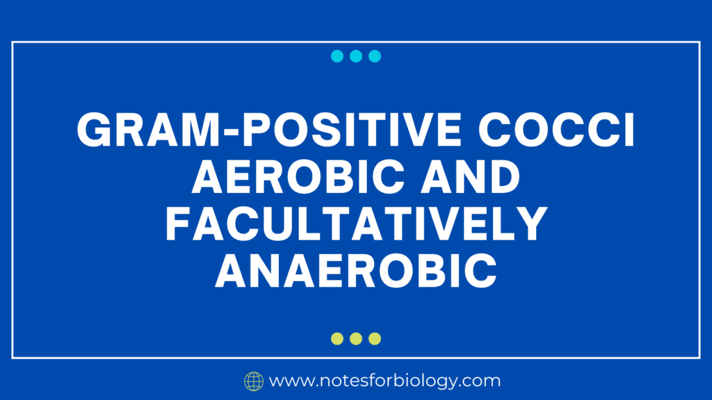 Gram-Positive Cocci Aerobic and Facultatively Anaerobic